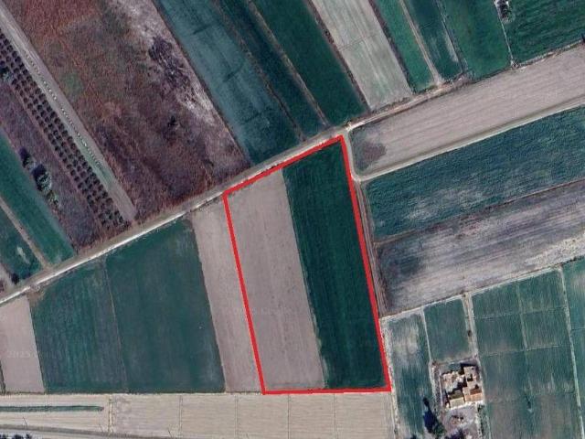 Terreno en venta en el Baix Vinalopó, Valencia