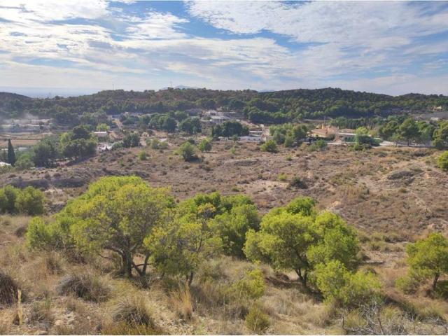 Terreno en venta en el Baix Vinalopó, Valencia