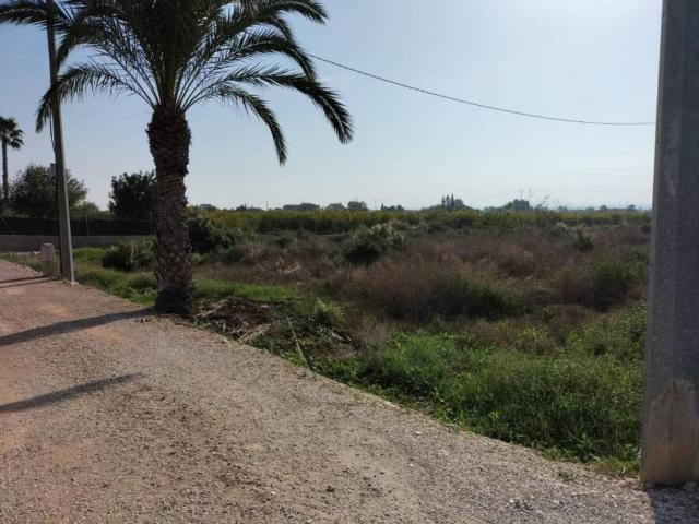 Terreno en venta en el Baix Vinalopó, Valencia