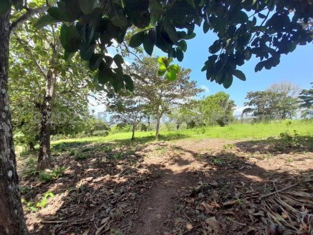 Terreno en Venta en Cristóbal Colón 1022 m2