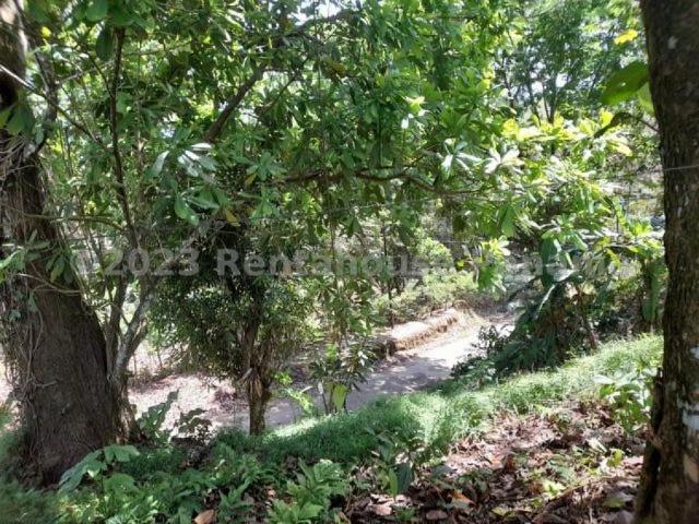 Terreno en Venta en Cristóbal Colón 1022 m2