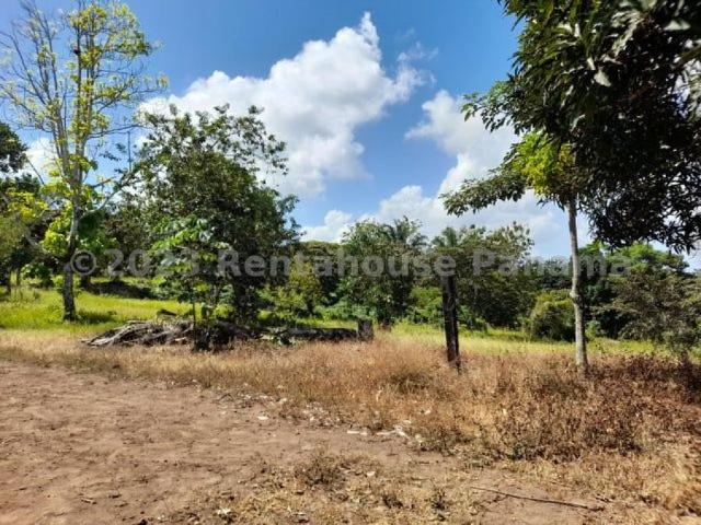 Terreno en Venta en Cristóbal Colón 1022 m2