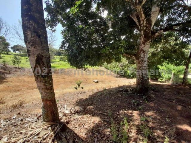 Terreno en Venta en Cristóbal Colón 611 m2