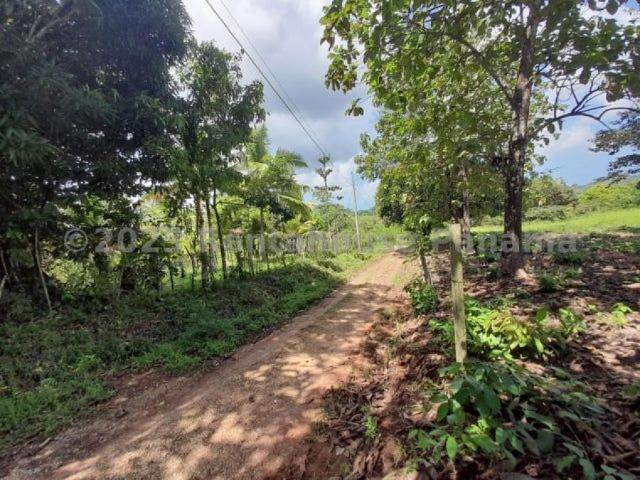 Terreno en Venta en Cristóbal Colón 611 m2