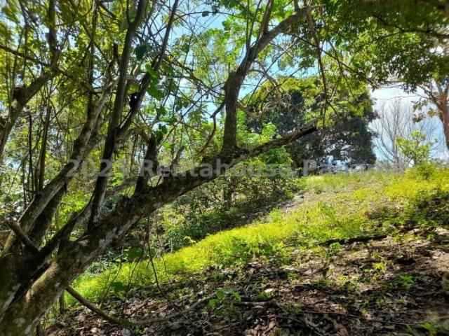 Terreno en Venta en Cristóbal Colón 611 m2