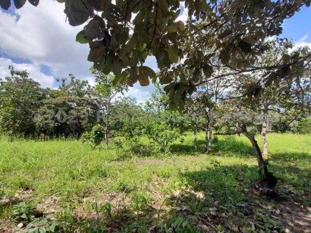 Terreno en Venta en Cristóbal Colón 611 m2