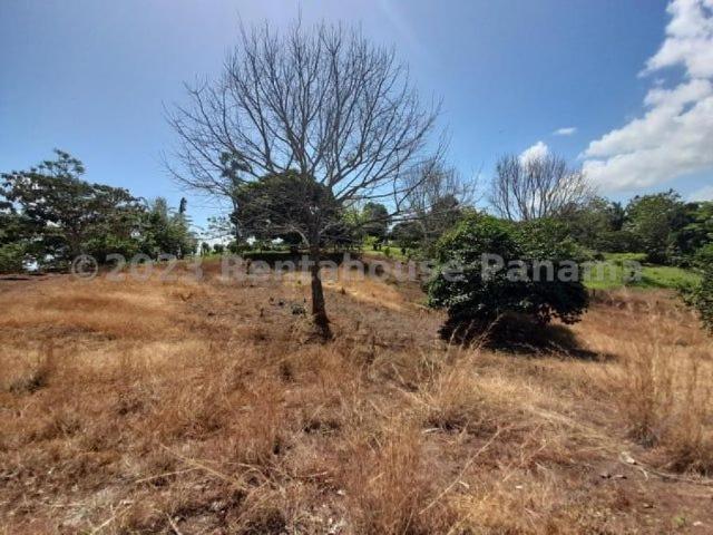 Terreno en Venta en Cristóbal Colón 611 m2