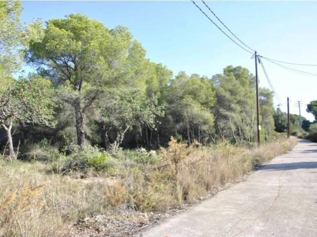 Terreno en venta en Garraf, Catalunya