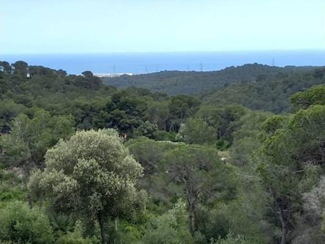 Terreno en venta en el Mas Trader, Garraf