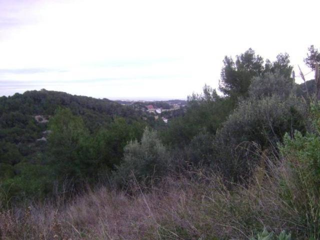 Terreno en venta en el Mas Trader, Garraf