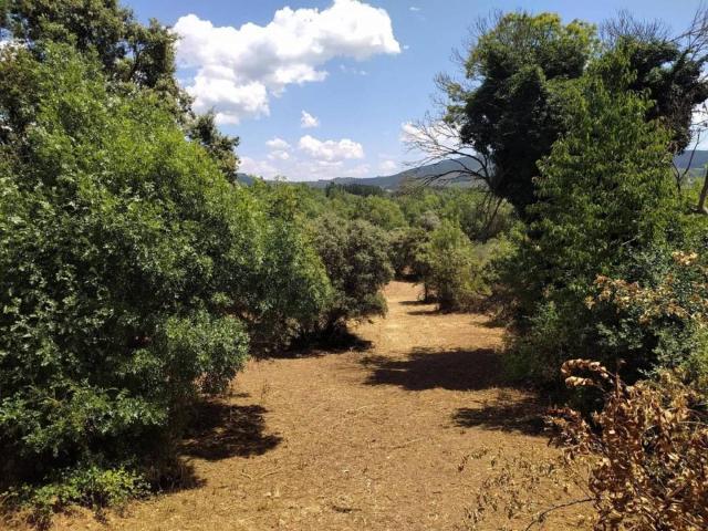 Terreno en venta en El Bierzo, Castilla y León