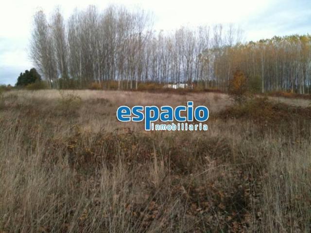 Terreno en venta en Cubillos Del Sil, Matarrosa del Sil
