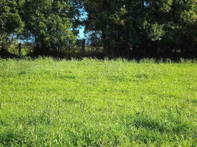 Terreno en venta en Bustiello, Cudillero