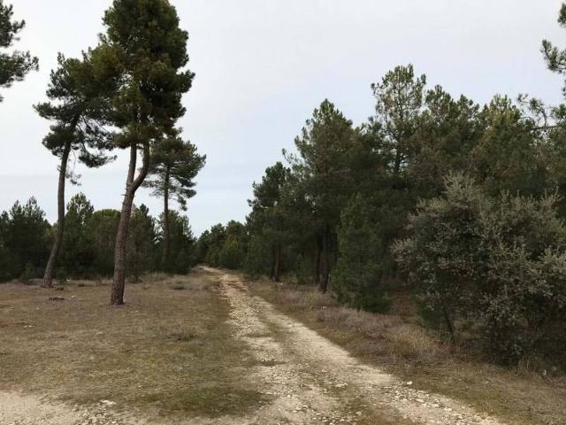 Terreno en venta en Cuéllar