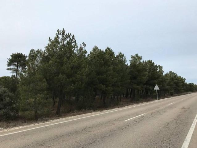 Terreno en venta en Cuéllar, Castilla y León