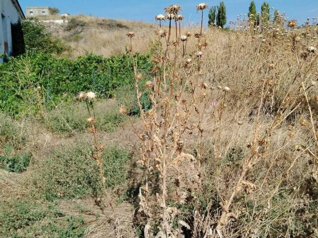 Terreno en venta en Lovingos, Cuéllar