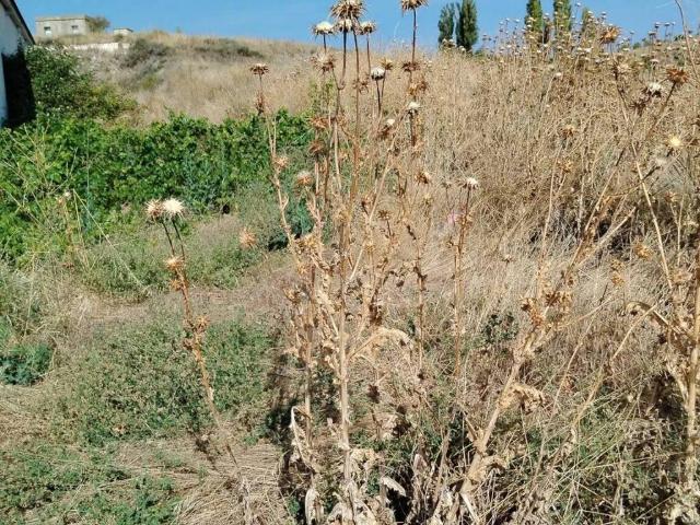 Terreno en venta en Cuéllar, Lovingos