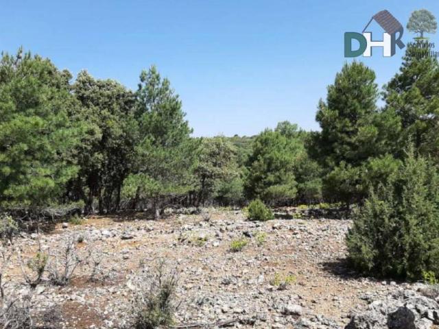 Terreno en venta en Cuenca, Castilla-La Mancha