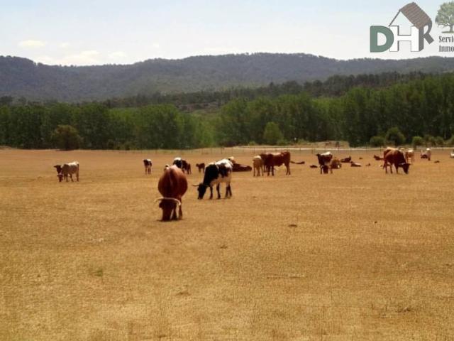 Terreno en venta en Cuenca, Castilla-La Mancha