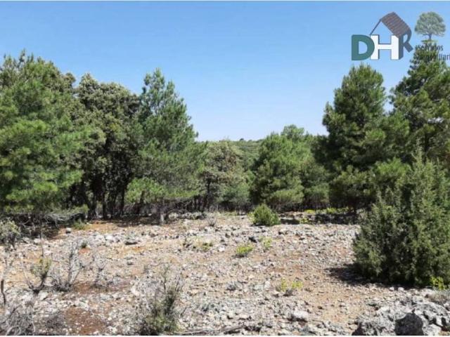 Terreno en venta en Cuenca, Castilla-La Mancha