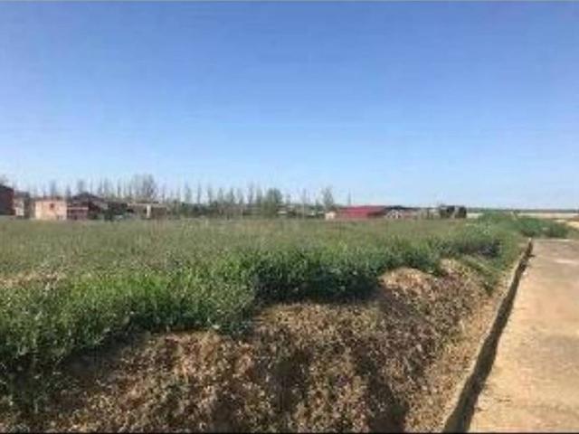 Terreno en venta en Cuenca De Campos, Castilla y León