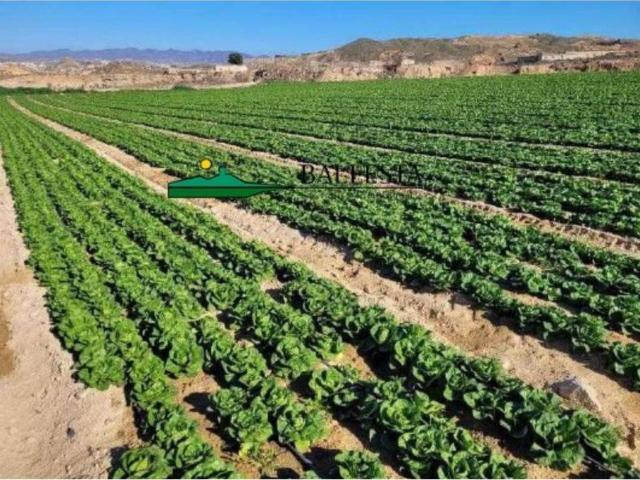 Terreno en venta en Cuevas Del Almanzora, Andalucía