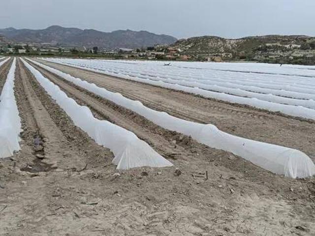 Terreno en venta en Arnilla, Cuevas Del Almanzora