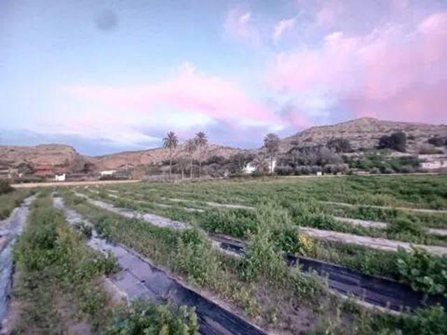 Terreno en venta en Aljarilla, Cuevas Del Almanzora