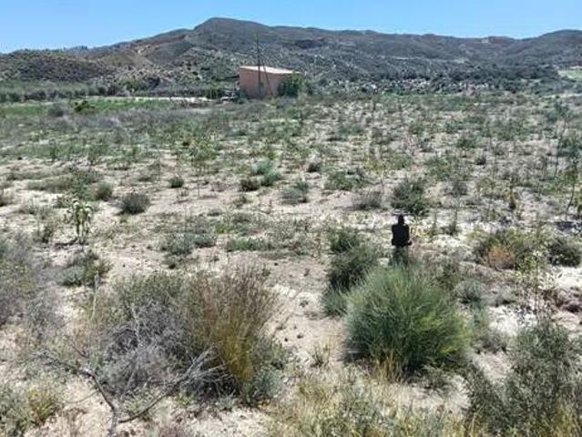 Terreno en venta en Aljarilla, Cuevas Del Almanzora