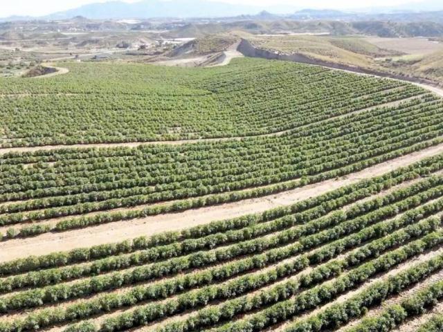 Terreno en venta en Cuevas Del Almanzora, Andalucía
