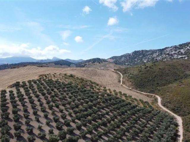 Terreno en venta en Cuevas Del Becerro Terreno en venta en Cuevas Del Becerro
