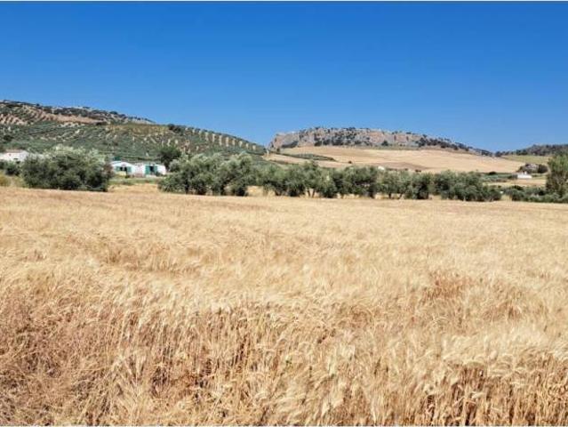 Terreno en venta en Guadalteba, Andalucía