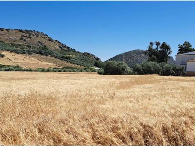 Terreno en venta en Guadalteba, Andalucía