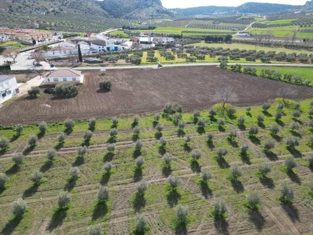 Terreno en venta en Cuevas Del Becerro Terreno en venta en Cuevas Del Becerro