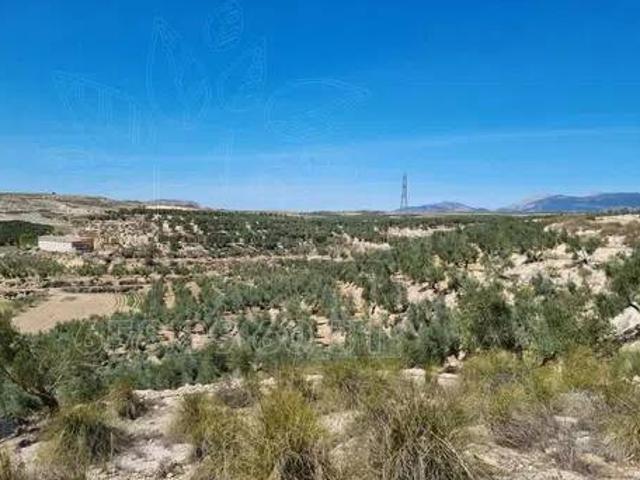 Terreno en venta en Comarca de Baza, Andalucía