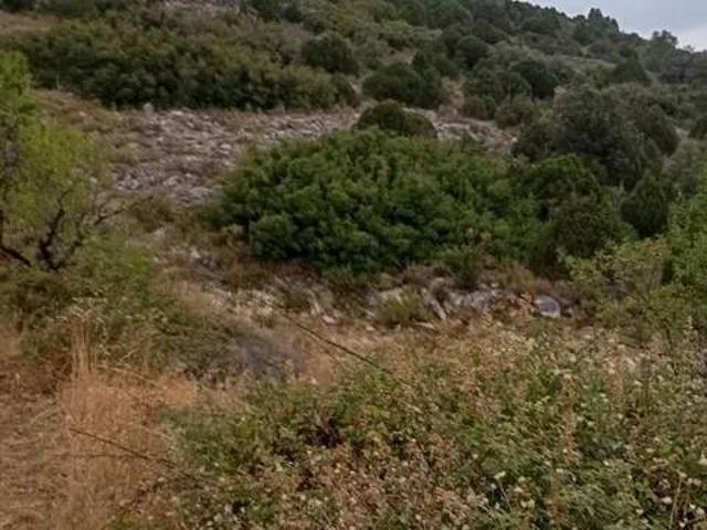 Terreno en venta en l'Alt Maestrat, Valencia