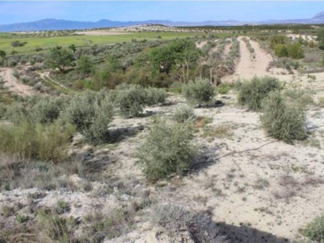 Terreno en venta en Comarca de Baza, Andalucía