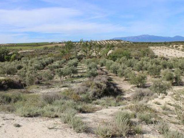 Terreno en venta en Comarca de Baza, Andalucía