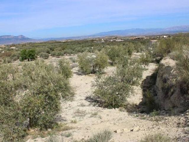 Terreno en venta en Comarca de Baza, Andalucía