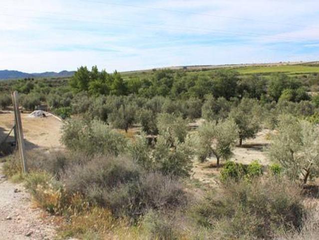 Terreno en venta en Comarca de Baza, Andalucía