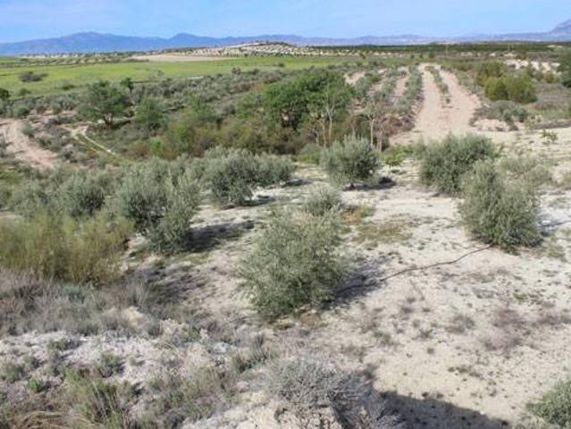 Terreno en venta en Comarca de Baza, Andalucía
