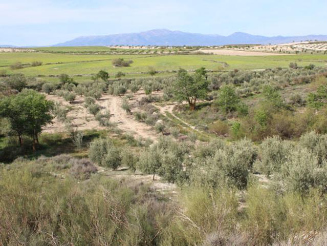 Terreno en venta en Comarca de Baza, Andalucía