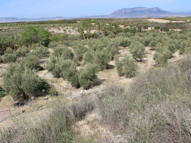 Terreno en venta en Comarca de Baza, Andalucía