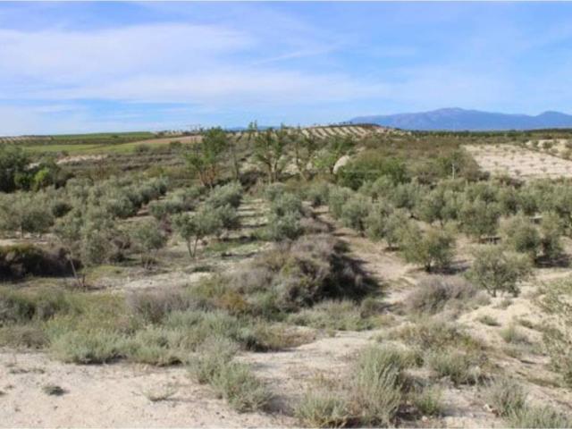 Terreno en venta en Comarca de Baza, Andalucía