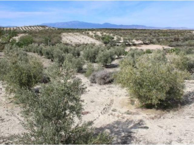 Terreno en venta en Comarca de Baza, Andalucía