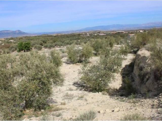Terreno en venta en Comarca de Baza, Andalucía