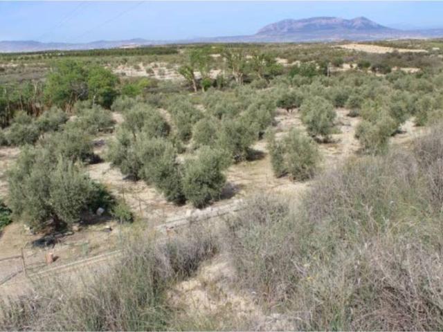 Terreno en venta en Comarca de Baza, Andalucía