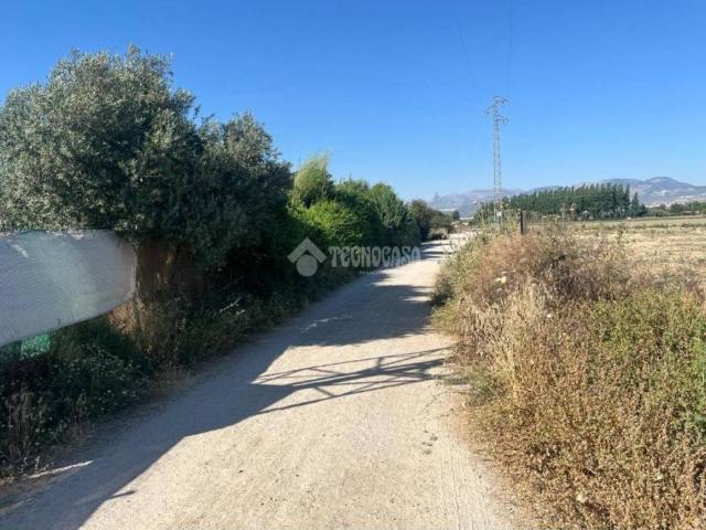Terreno en venta en Comarca de la Vega de Granada, Andalucía