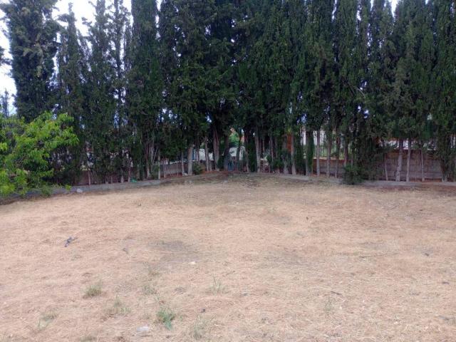 Terreno en venta en Comarca de la Vega de Granada, Andalucía