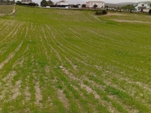 Terreno en venta en Comarca de la Vega de Granada, Andalucía